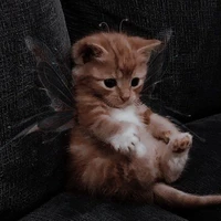 LiKiO