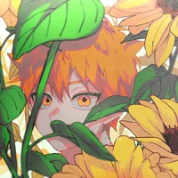 Hinata Shoyou