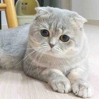 Heo 