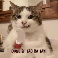 Thầy hiệu trưởng