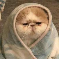 con tác giả mắc bệnh ngu giai đoạn cuối