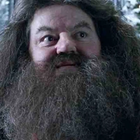 Hagrid 