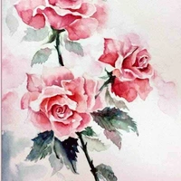 Hệ thống ( Tom )