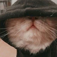 Tác giả