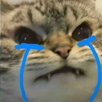 Con Au ngu dốt👊🤡