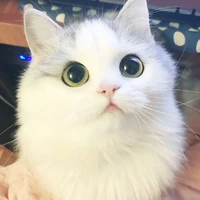 Sữa :3