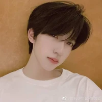 Hạ Tuấn Lâm
