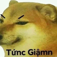 Nguyễn Văn Vàng:3