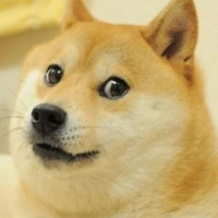 Trần Shiba:)