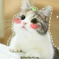 Tác giả