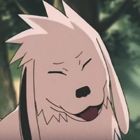 Akamaru