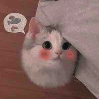 Mon