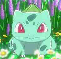 Fushigidane (Satoshi)