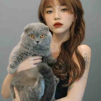 Đàm tổng🍀