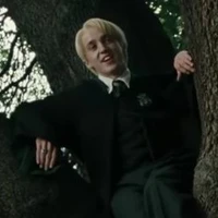 Draco Malfoy🐍🍏