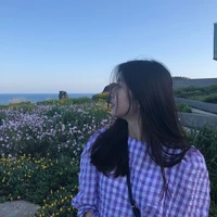 Han Y/n