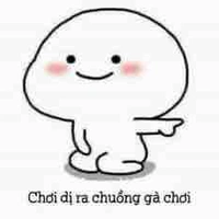 Y/N là crs của tui