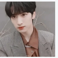 Nghiêm Hạo Tường