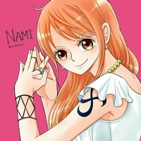 Cat Burgla Nami