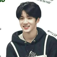 Lưu Diệu Văn