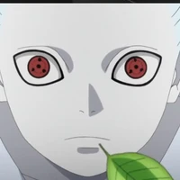 Uchiha Shin