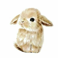 Hệ thống tiểu minh tinh - Rabbit