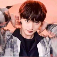 Đinh Trình Hâm