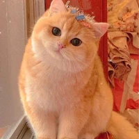 Tác giả