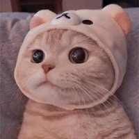 Tác giả cute🍒