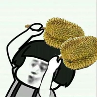 DV thập cẩm