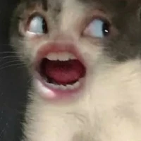 Tác giả ^^