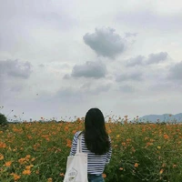 Lại Yến Yến