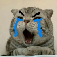 tg đg ế