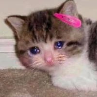mai nem i ờ thao