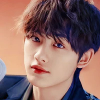 Đinh Trình Hâm