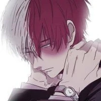 Shoto Todoroki