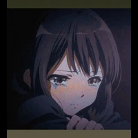 Y/N