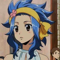 Levy