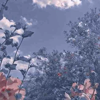 Farytail•Cả hội•