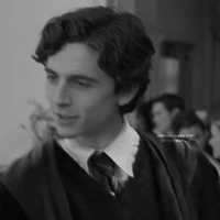 Regulus Black