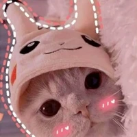 Mèo ♡