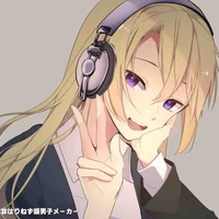 Y/N