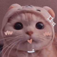 Y/n