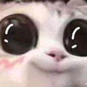 Tác giả đáng yew