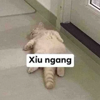 Coan tác giả 