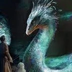 thầy CN nhà Gry-gs CSVVHB-Lionel