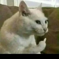 quần chúng(kiêm mọi nghề)