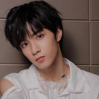 Lưu Diệu Văn