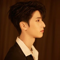 Nghiêm Hạo Tường