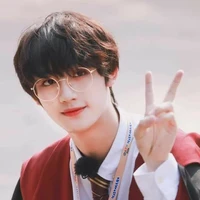 Đinh Trình Hâm(🦊)